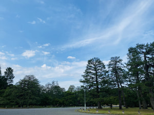 京都府庁から京都御所へ