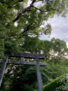 雨から快晴へ