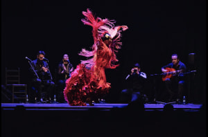 コンクール 「 internacional de baile Flamenco Puro 」ファイナルのダイジェスト動画