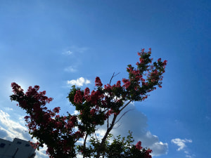 一見謎な練習と夏の空と海の恵