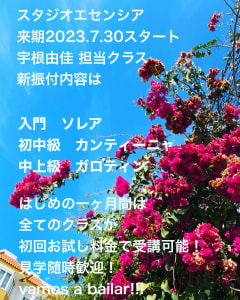 来期からの宇根由佳担当新クラス決定！