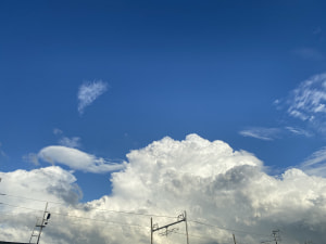 夏空と葡萄