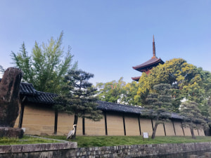 レッスンとその後の東寺