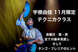 11月限定 「宇根由佳 基礎見直し ブレリア、タンゴのヒント発見」 1回ごとに完結テクニカクラス本日からスタート！