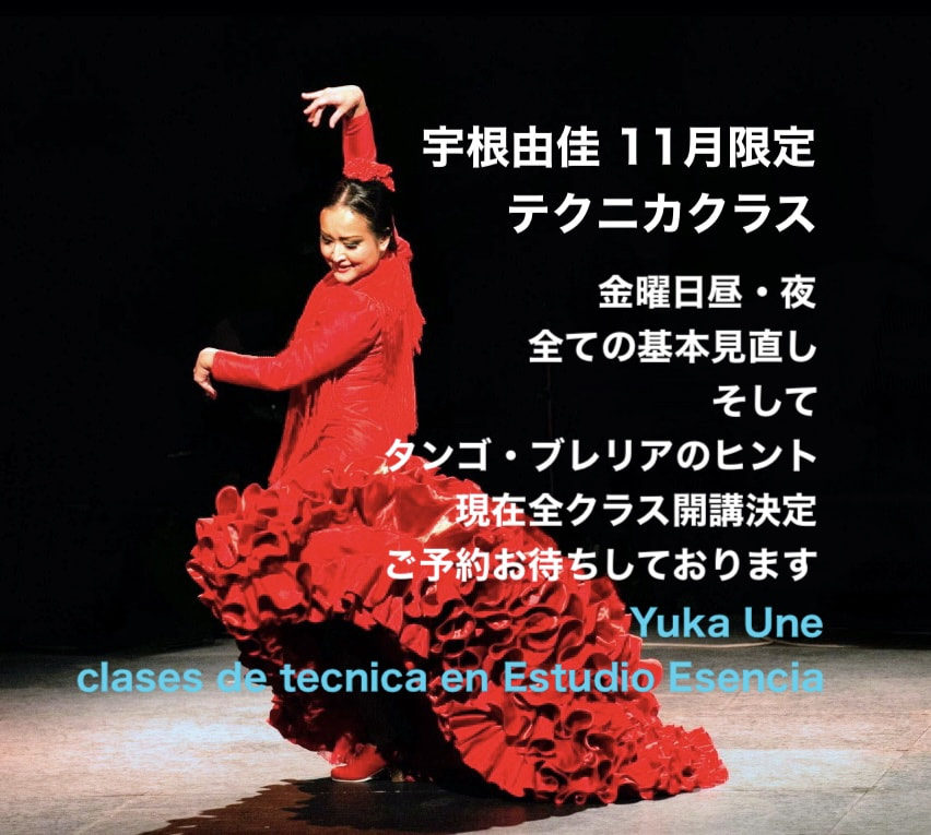 11月限定　宇根由佳基礎テクニカオープンクラス　金曜日